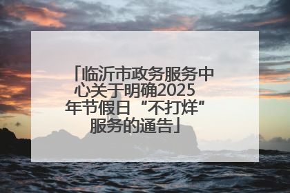 临沂市政务服务中心关于明确2025年节假日“不打烊”服务的通告
